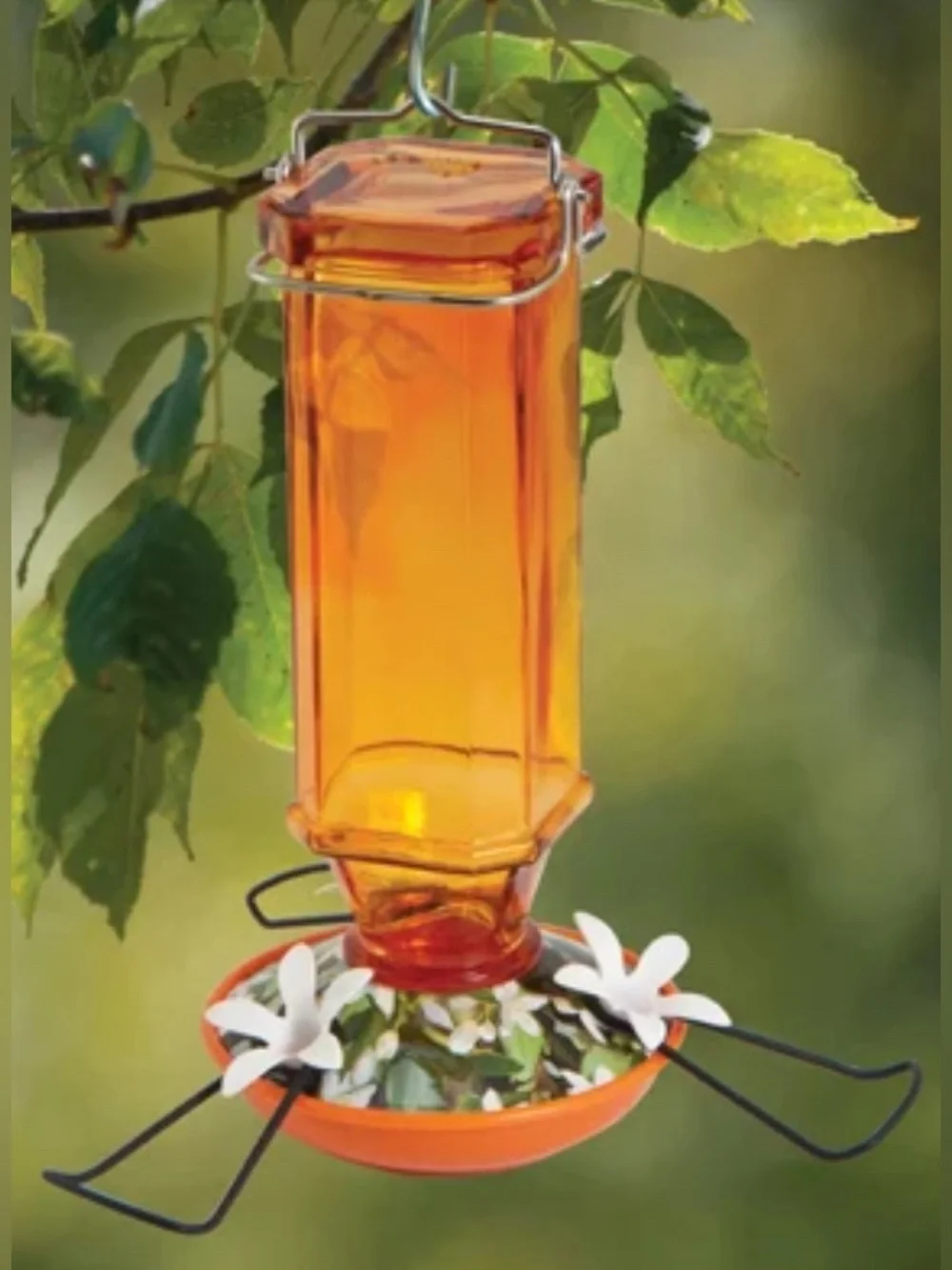 Vintage Glass Oriole Feeder - Woodlink